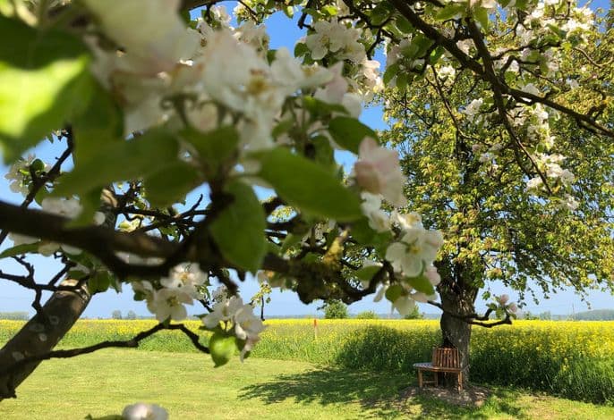Bauernhaus auf Rügen detail 4