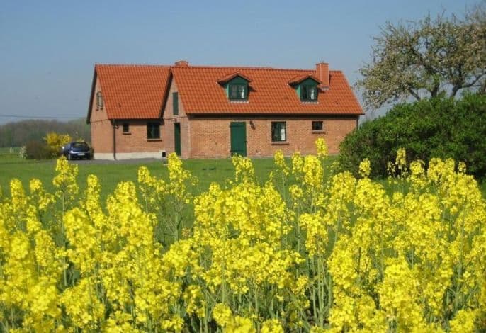 Kranich in Ummanz-Lüßvitz - Kranich in Ummanz-Lüßvitz .1 detail 1