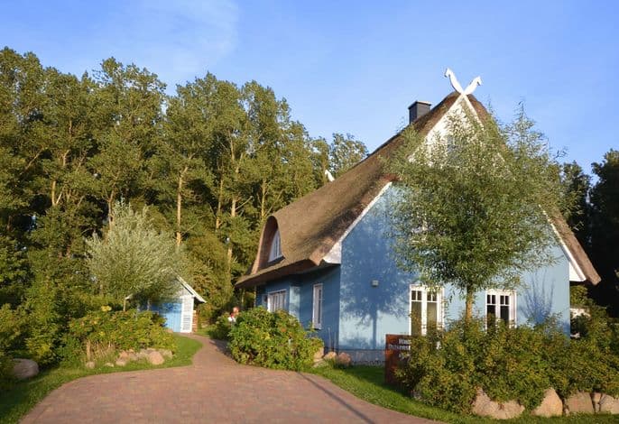 Komfort Ferienhaus mit Sauna und Kamin, auf großem Waldgrundstück, in absoluter - Komfort Ferienhaus mit Sauna und Kamin, auf großem Waldgrundstück, in absoluter .1 detail 1