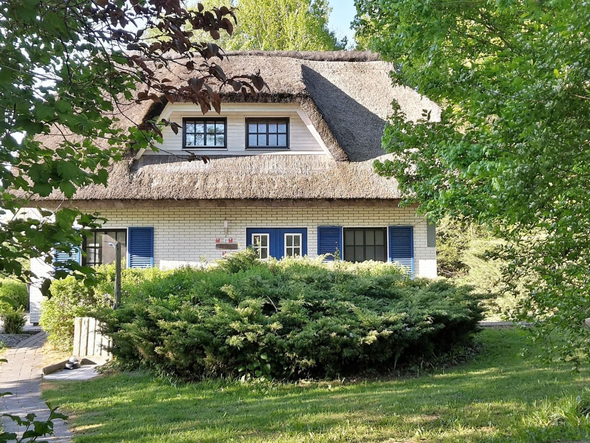Haus-Zauberblau detail 1
