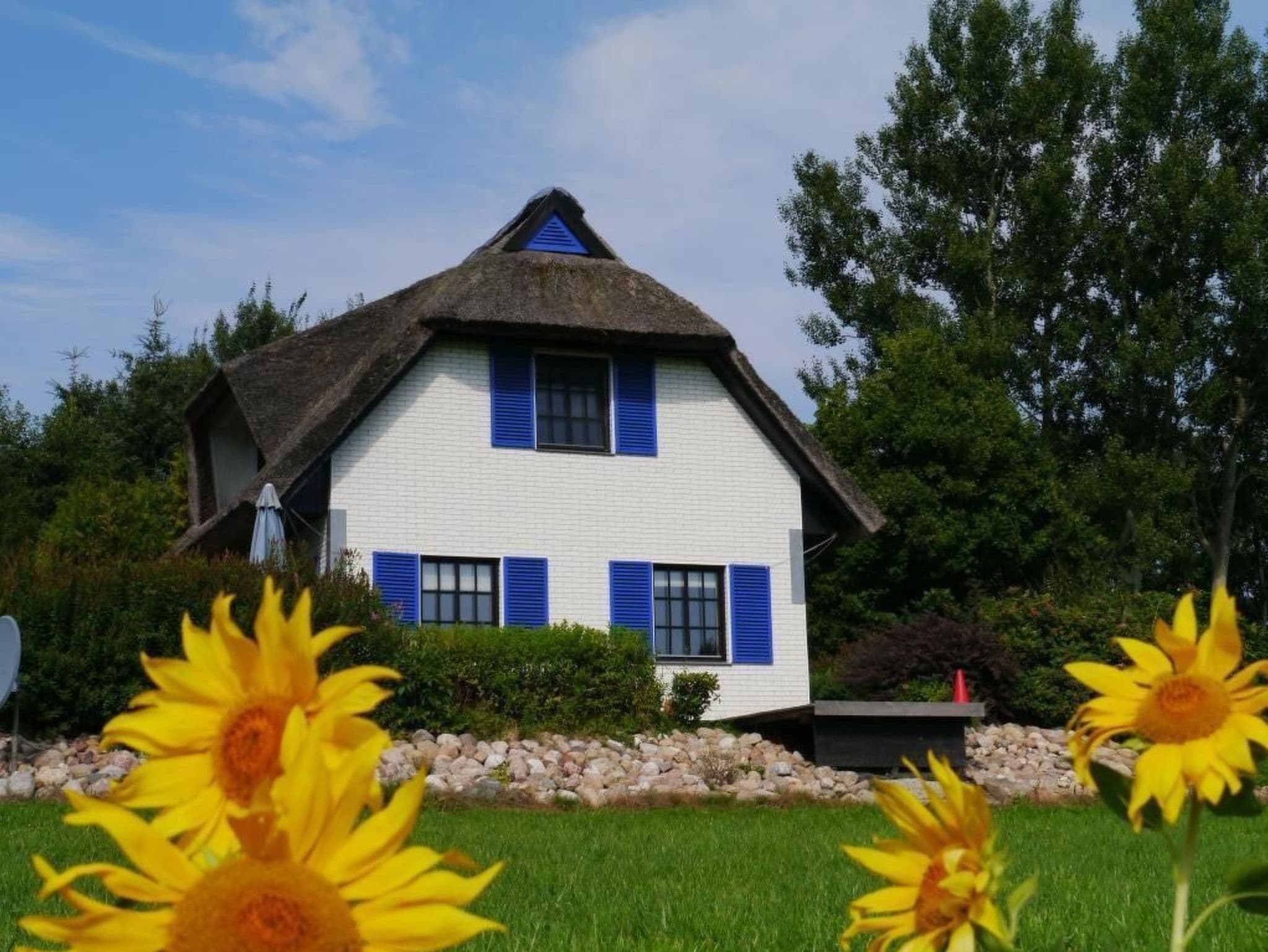 Haus-Zauberblau detail 2