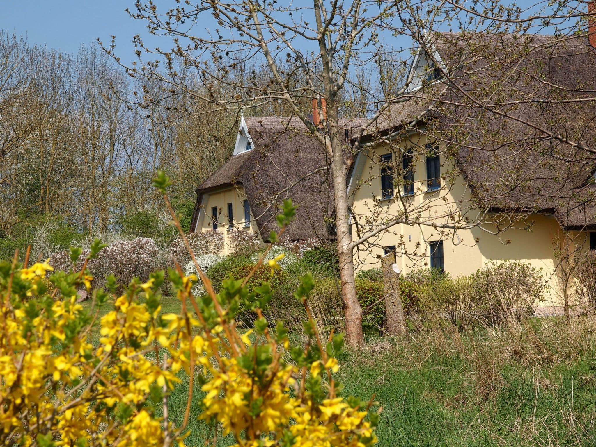 in idylischer Lage detail 4