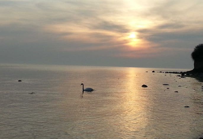 1 Raum Appartement Rychlikowski detail 4