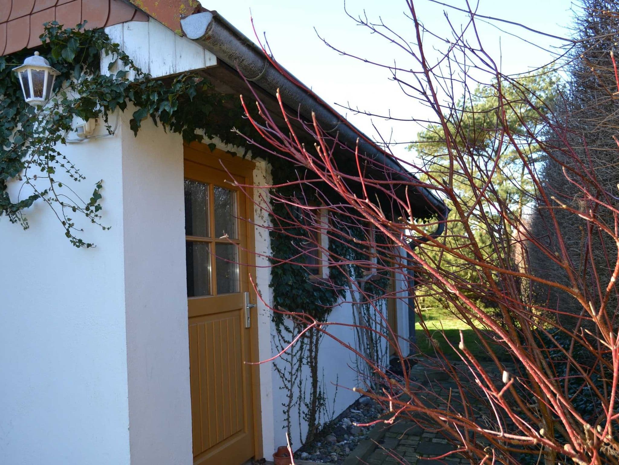 Ferienhaus Butje detail 3