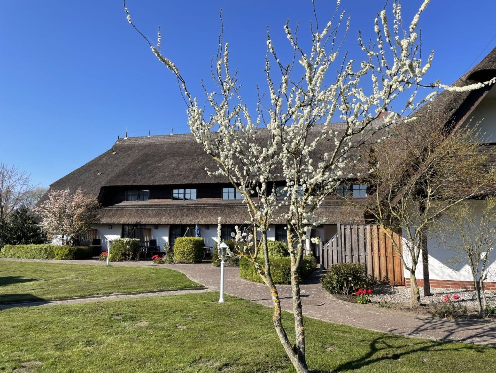 3*** Appartementhotel Mare Balticum GmbH & Co KG detail 4