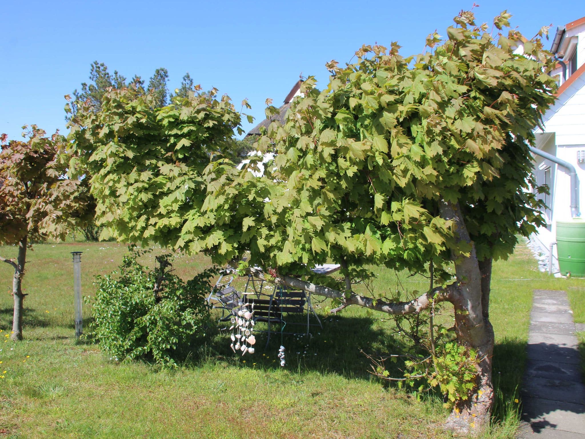 Ferienhaus Boddenblick detail 3