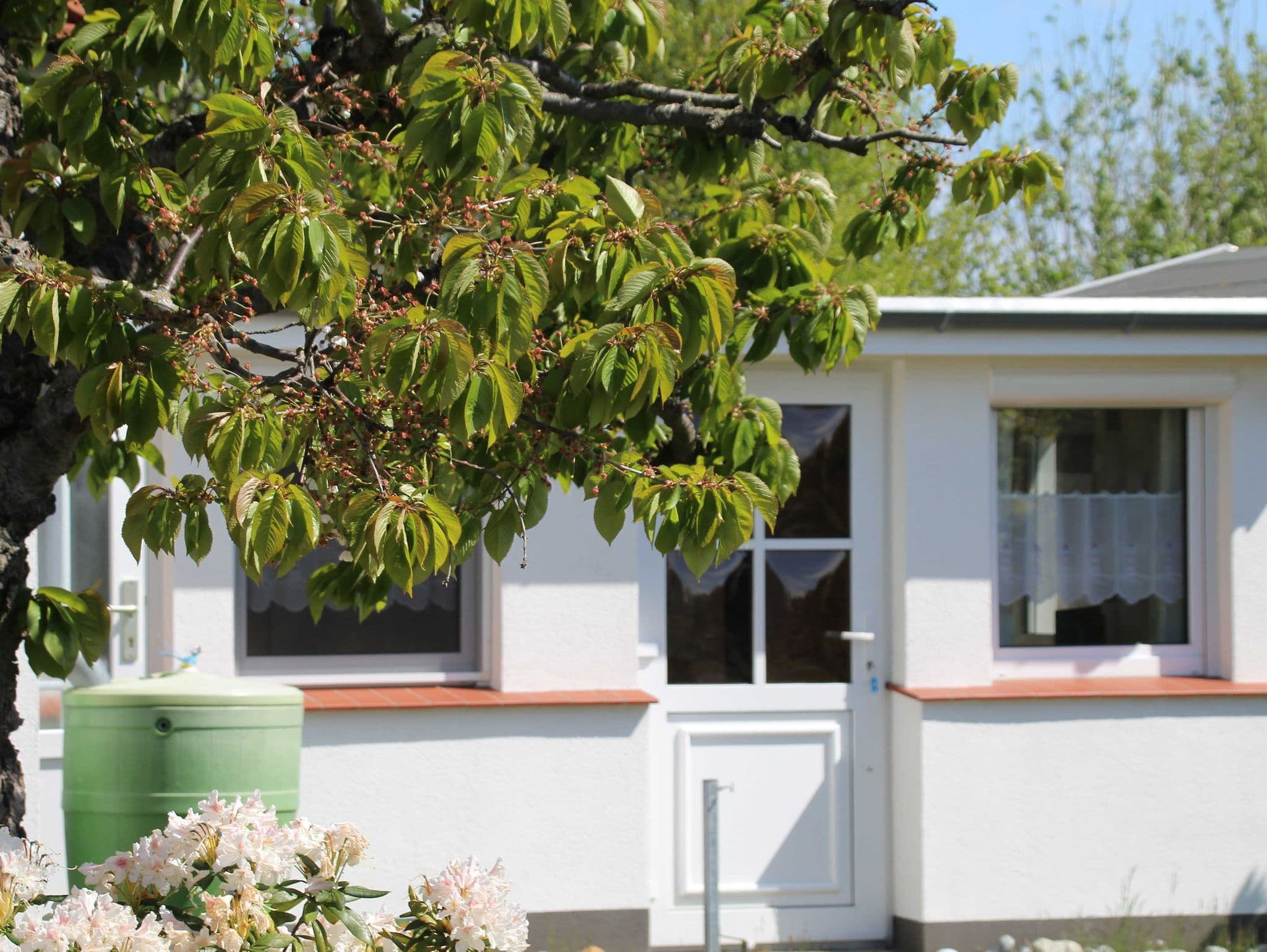 Ferienhaus Boddenblick detail 2