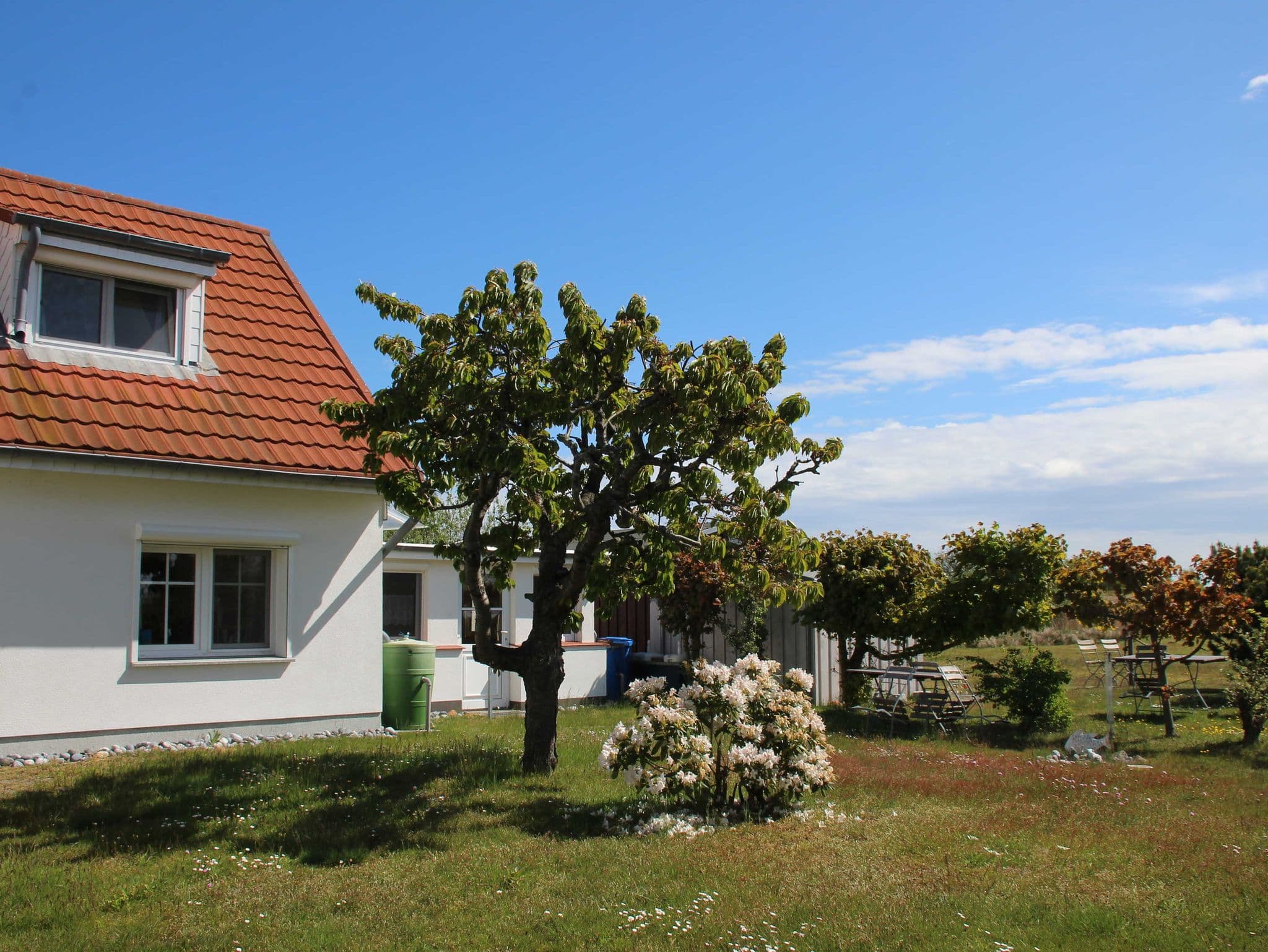 Ferienhaus Boddenblick detail 1