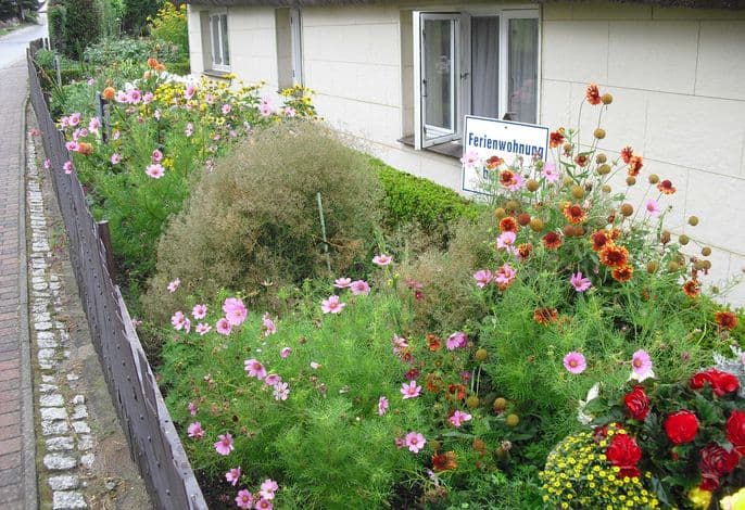 1 Raum-FeWo OstStube 18 qm detail 1