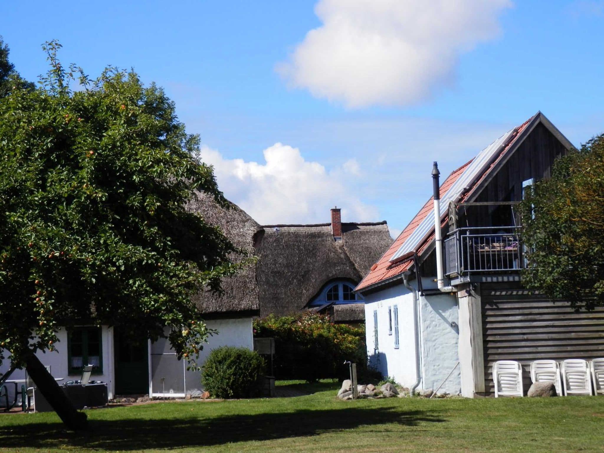 Ferienpark Vieregge - Haus 1D detail 4