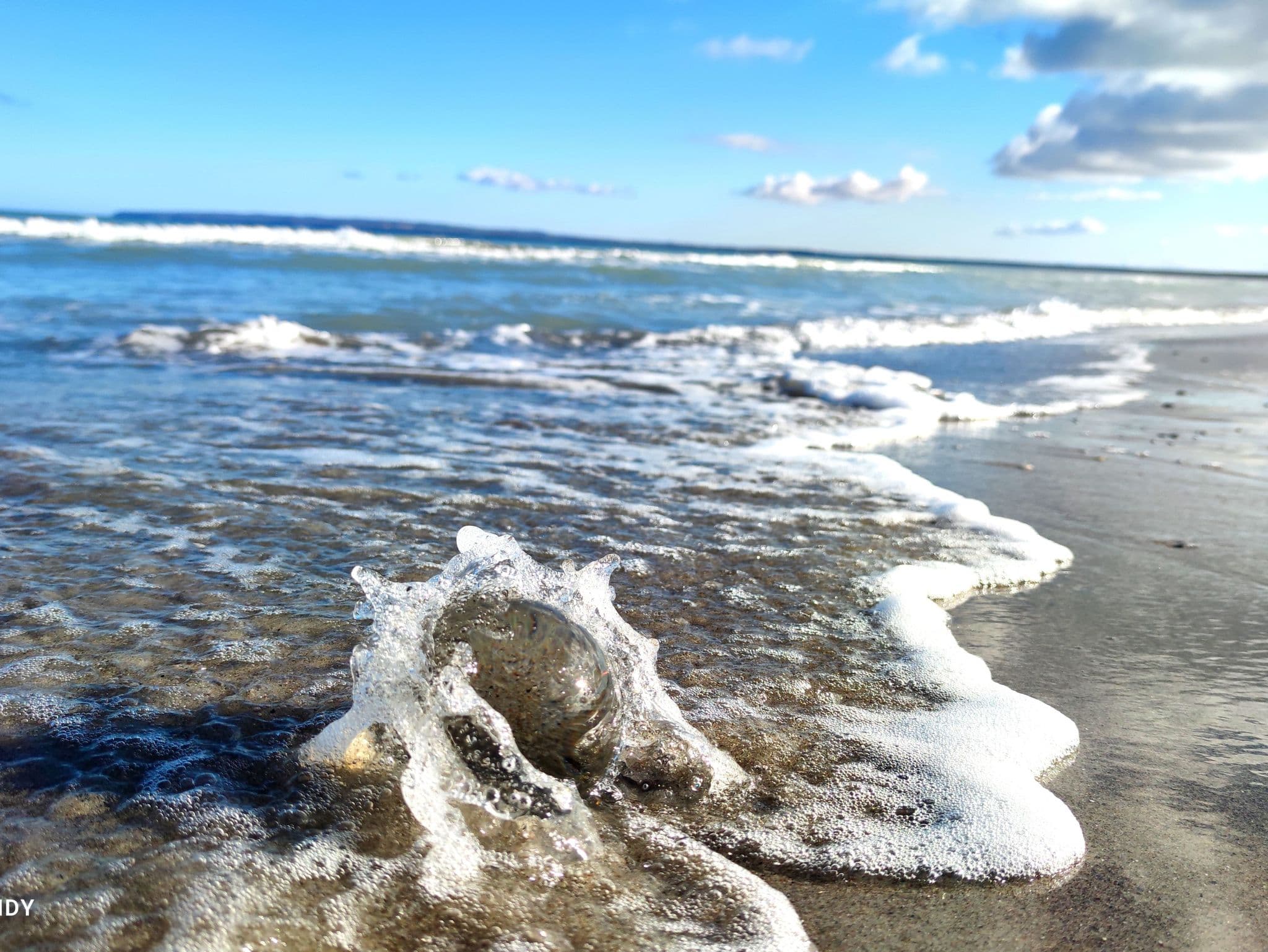 Sandbank detail 3