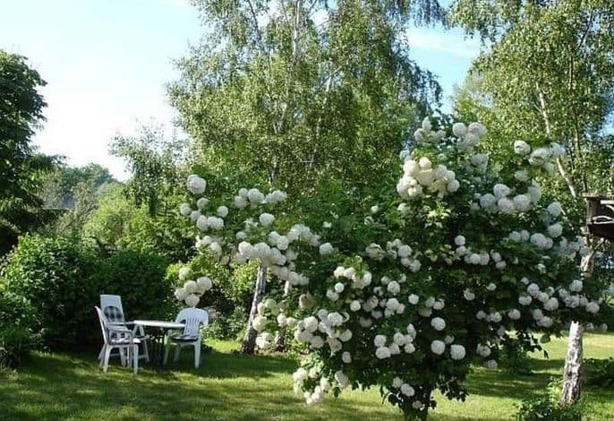 Rügen-Fewo 1380 detail 3