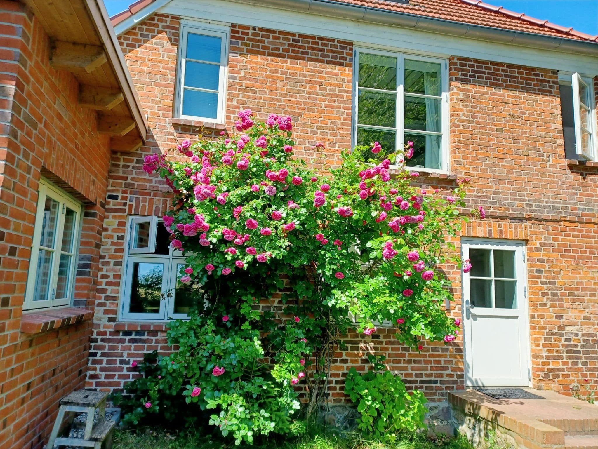 Ferienwohnung im Gutsverwalterhaus Vieregge detail 1