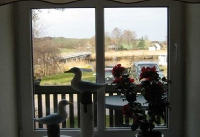 Ferienwohnung Sonnenblume 4 - Appartementhaus Zur Brücke in Seedorf detail 4