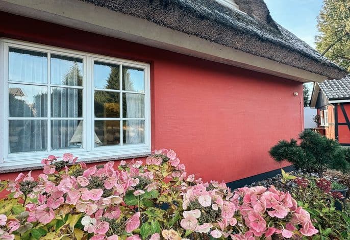 Landhaus Uhlenhof 1 - Uhlenhof 1 detail 2