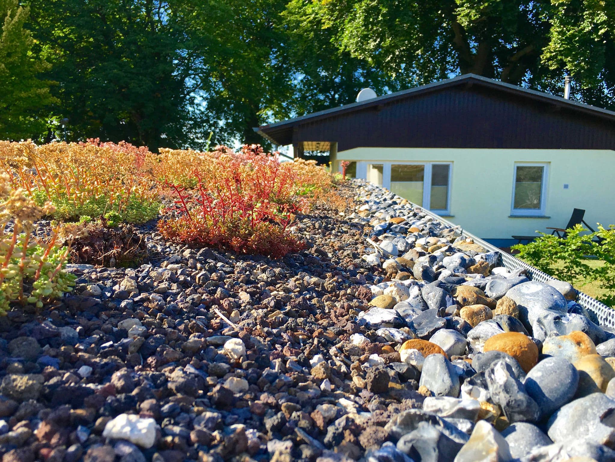 Ferienhaus Boddenhus - WLAN, 2 SZ, Garten - am Wasser detail 2
