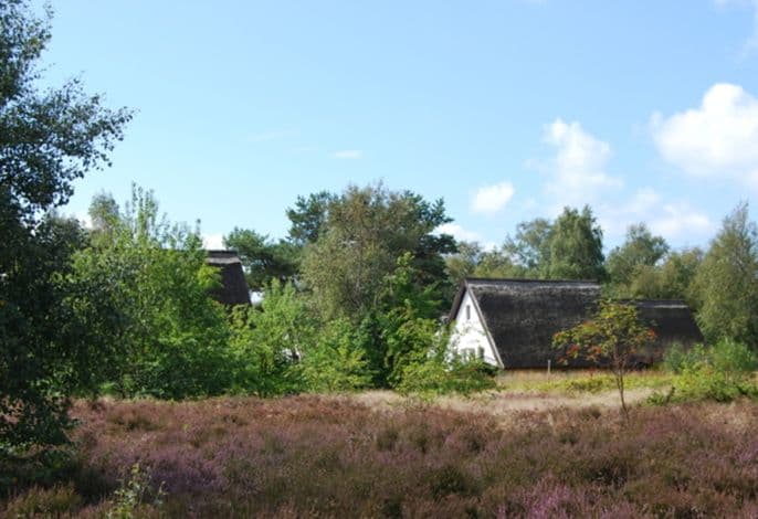 Doppelhaus Hiddensee bei Vitte detail 3