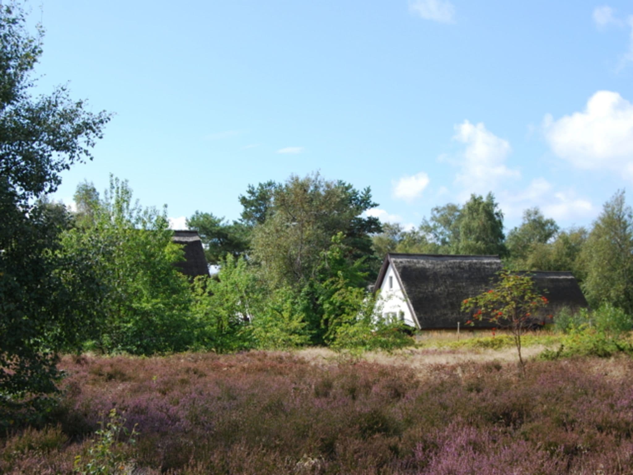 Doppelhaus Hiddensee bei Vitte detail 3