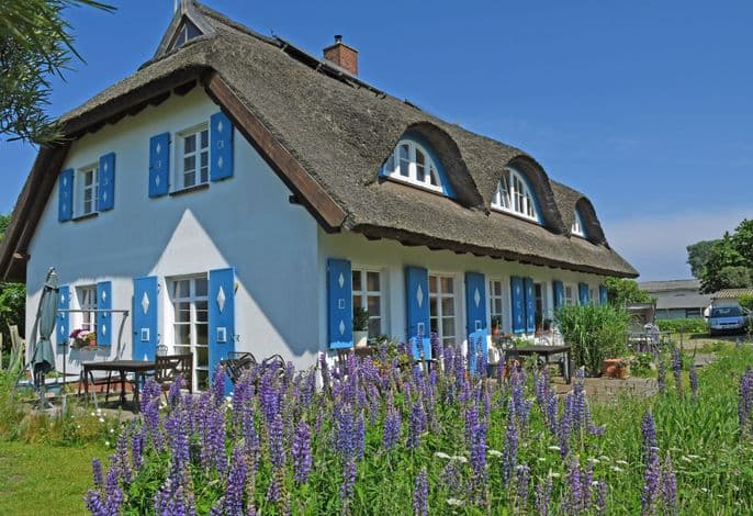 Ferienwohnung unterm Reetdach Haus Sonnenwinkel - Ferienwohnung unterm Reetdach Haus Sonnenwinkel detail 1