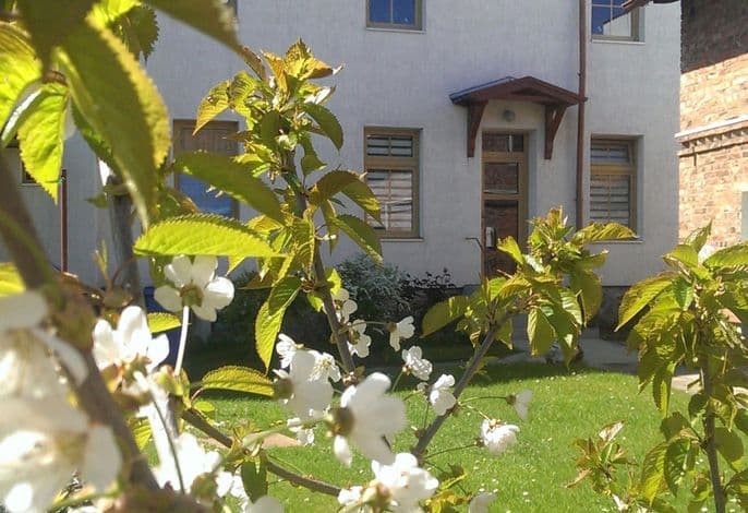 FW1 - Ferienwohnungen Otto - ruhige, zentrale Lage detail 4