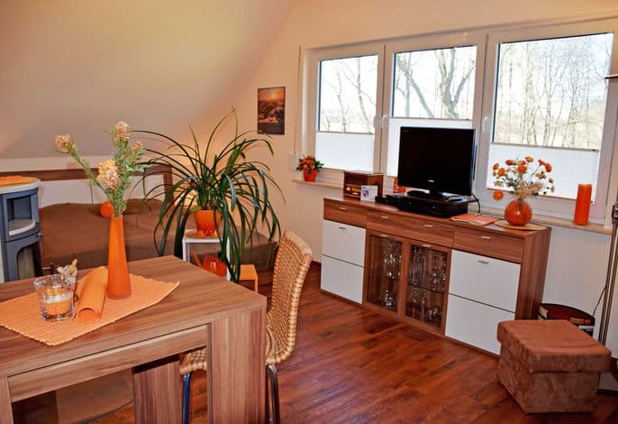 Ferienhaus Regenbogen mit Kamin und Terrasse - Gutshaus-Appartem. mit Kamin, Außenpool und tlw. Sauna***** detail 2