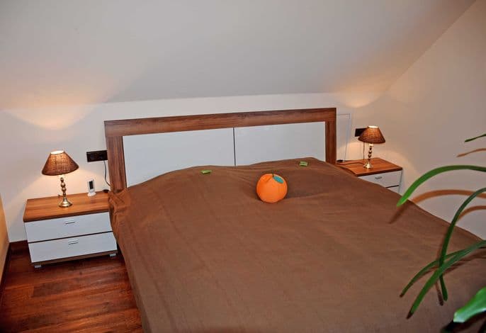 Ferienhaus Regenbogen mit Kamin und Terrasse - Gutshaus-Appartem. mit Kamin, Außenpool und tlw. Sauna***** detail 4