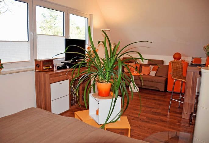 Ferienhaus Regenbogen mit Kamin und Terrasse - Gutshaus-Appartem. mit Kamin, Außenpool und tlw. Sauna***** detail 1