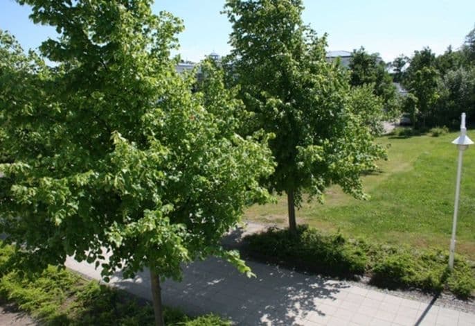 Seepark Sellin Haus Having WE 322 - Ferienwohnung Seepark Sellin Koeppen- WE 322 detail 1