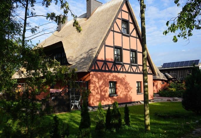 Pferdehof Bela detail 3
