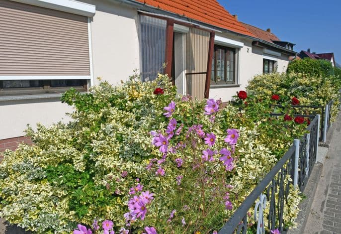 Ferienhaus Christa mit Terrasse - Ferienhaus Christa mit Terrasse ***Möller, Christa*** detail 4
