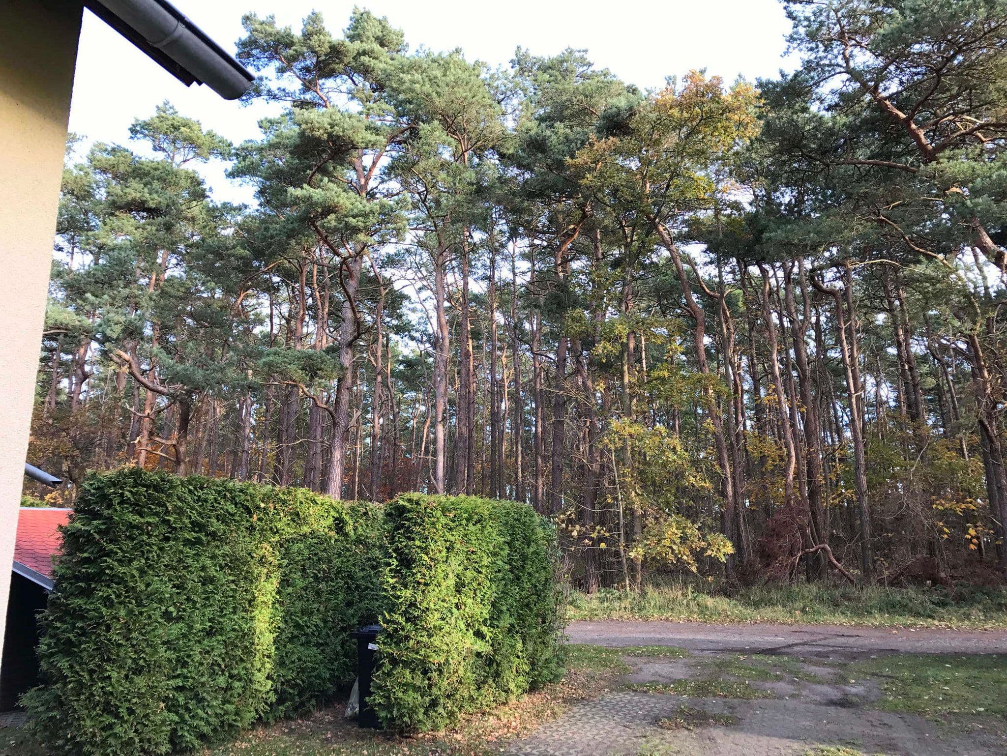 Ferienhaus Sonnenschein in Breege detail 2