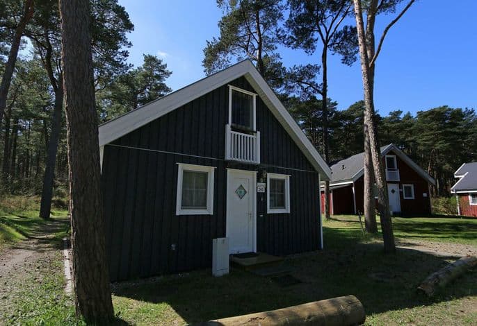 Ferienhaus Walddüne - Strandpark Baabe - ca.100m Strand - Ferienhaus Walddüne - Strandpark Baabe - ca.100m Meer/Strand detail 4