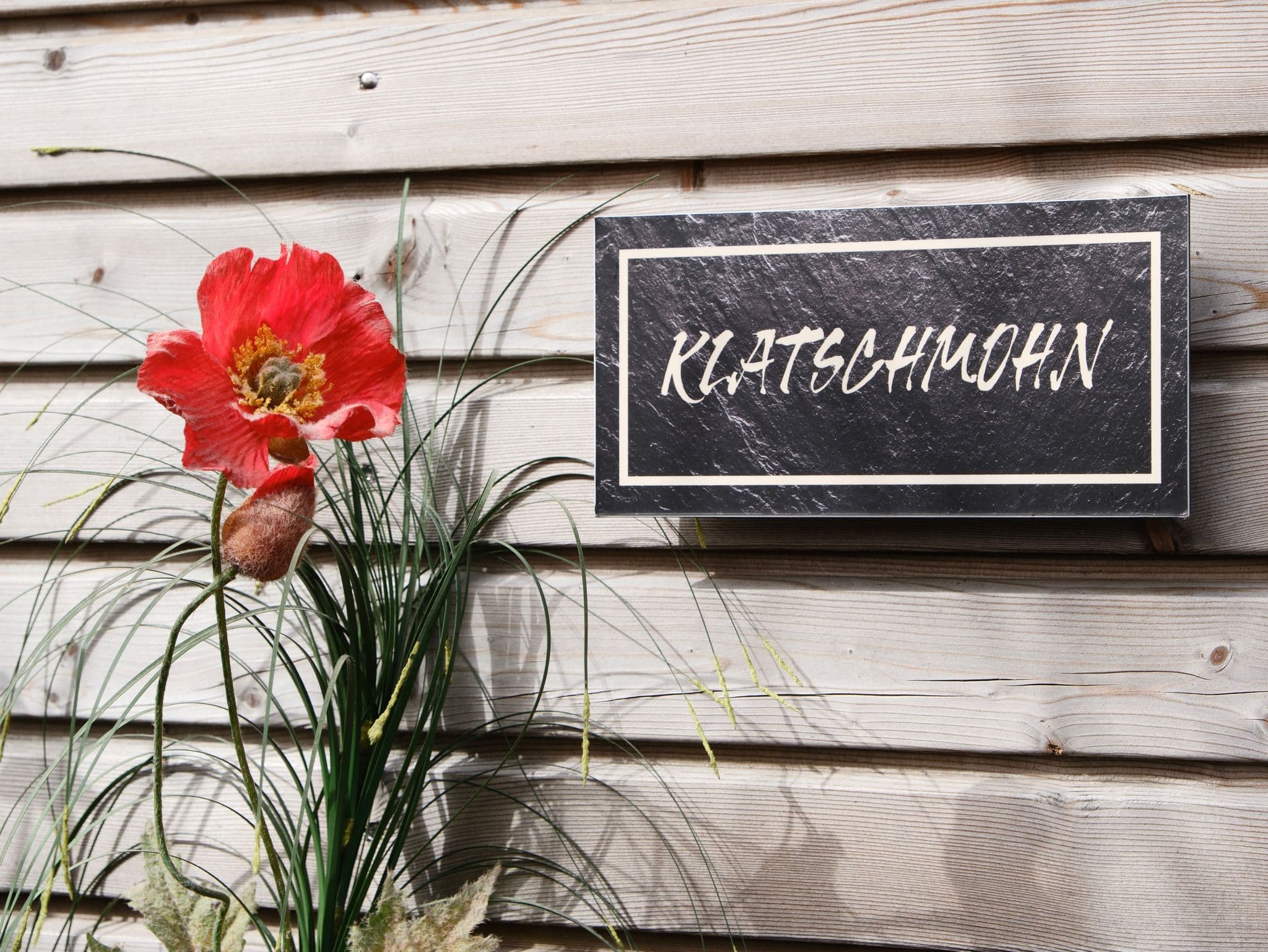 Klatschmohn - Kunsthof Salsitz detail 1