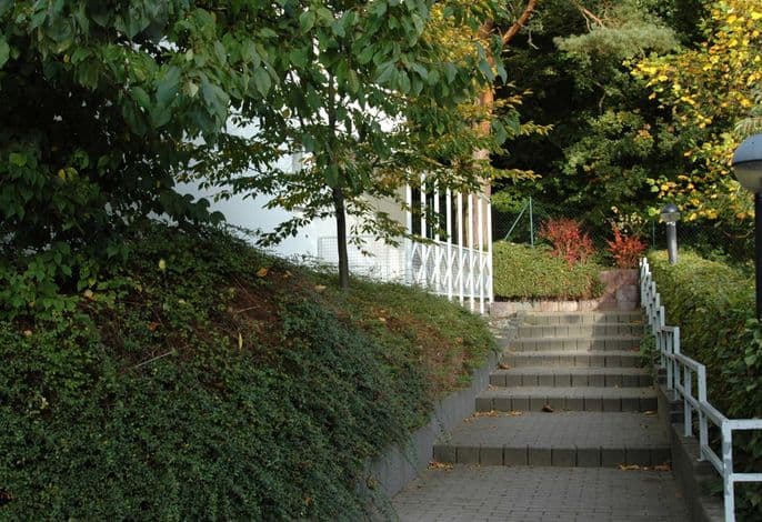 Lachmöwe - Lachmöwe mit Terrasse detail 2
