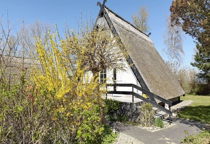 MR: Finnhaus Nr. 05 mit Terrasse - Finnhaus Nr. 05 mit Terrasse