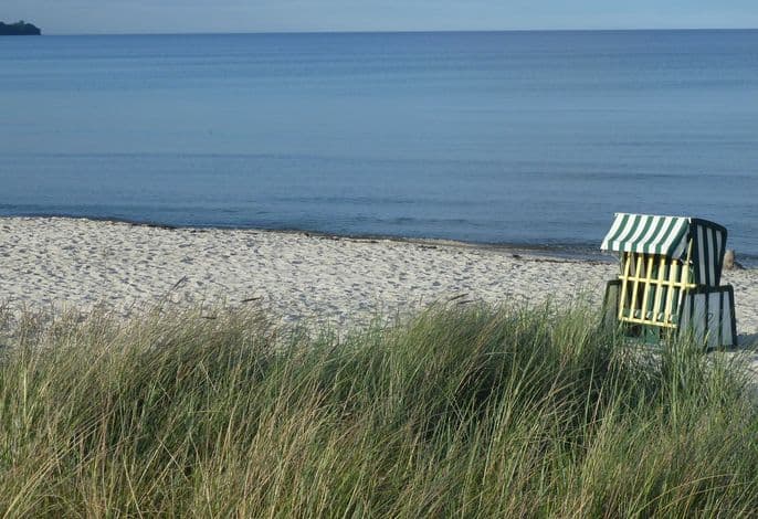 Blaubärstrand - Blaubärstrand detail 2