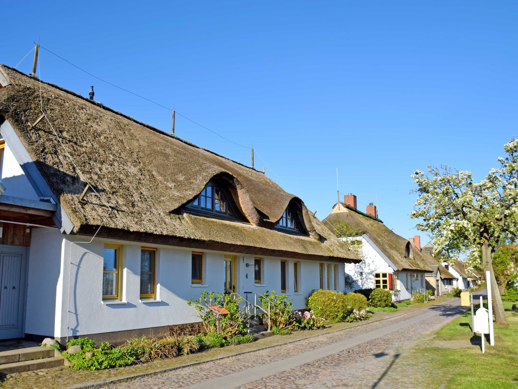Ferienwohnungen im Fischerdorf und unterm Reetdach detail 1