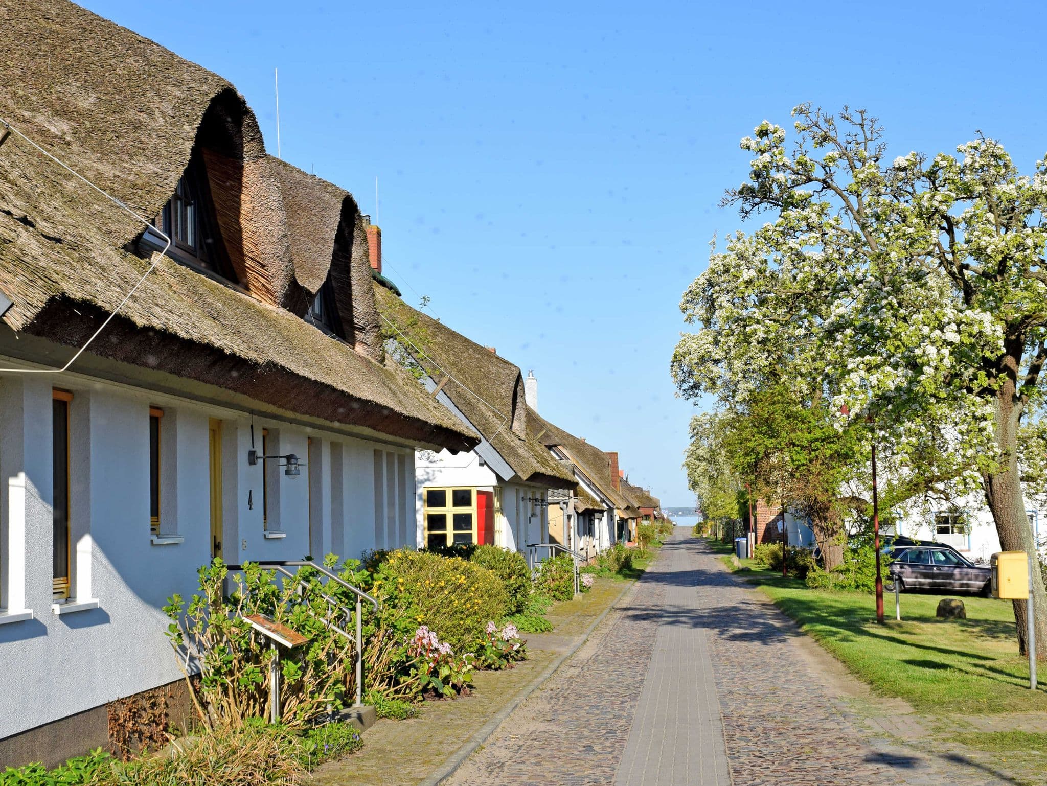 Ferienwohnungen im Fischerdorf und unterm Reetdach detail 2