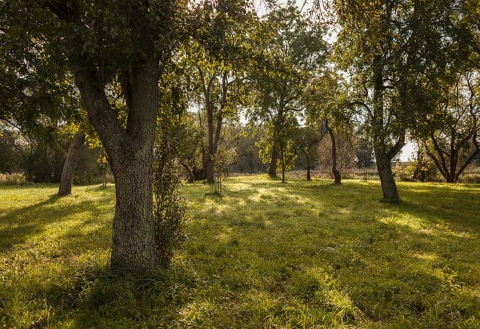 Wohnung 2. OG Rechts (2) detail 4