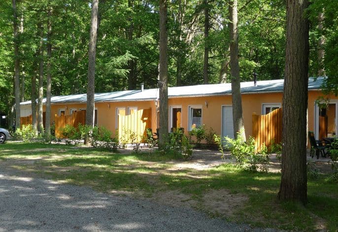 Appartement für 2 Personen Seestern 1