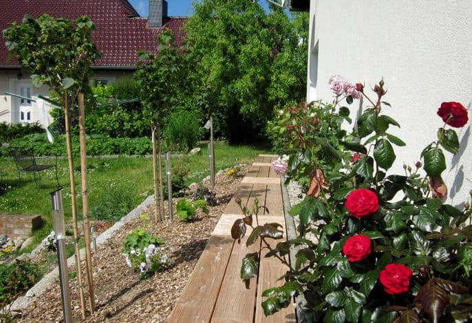 Sonnige FeWo in Klein Zicker - nur 2 min. zum Strand WE9643 - Ferienwohnung Andreas Nitsch detail 2