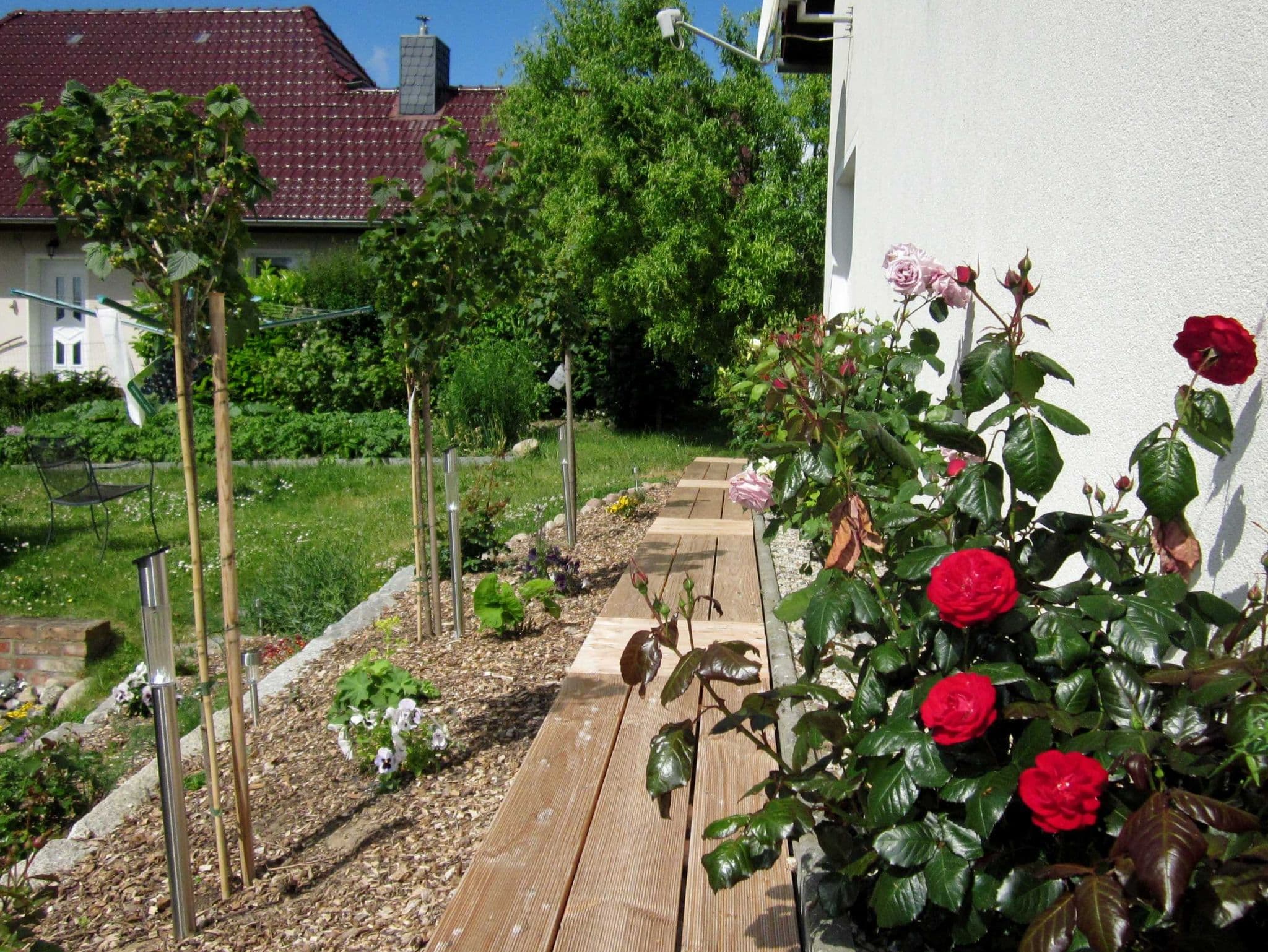 Sonnige FeWo in Klein Zicker - nur 2 min. zum Strand WE9643 detail 2