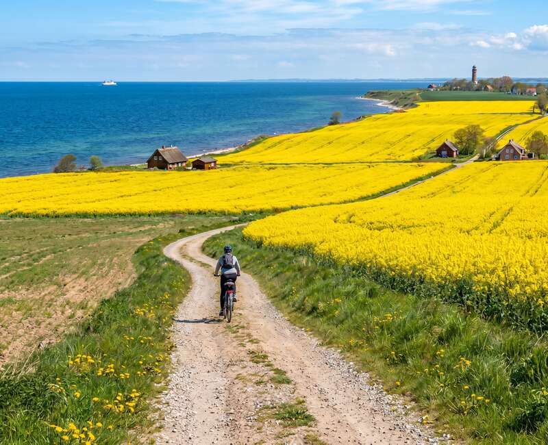 Der Weg ins Paradies: So beginnt dein Rügen-Urlaub absolut entspannt!
