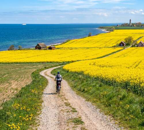 Schatzsucher an der Steilküste und tierische Begegnungen