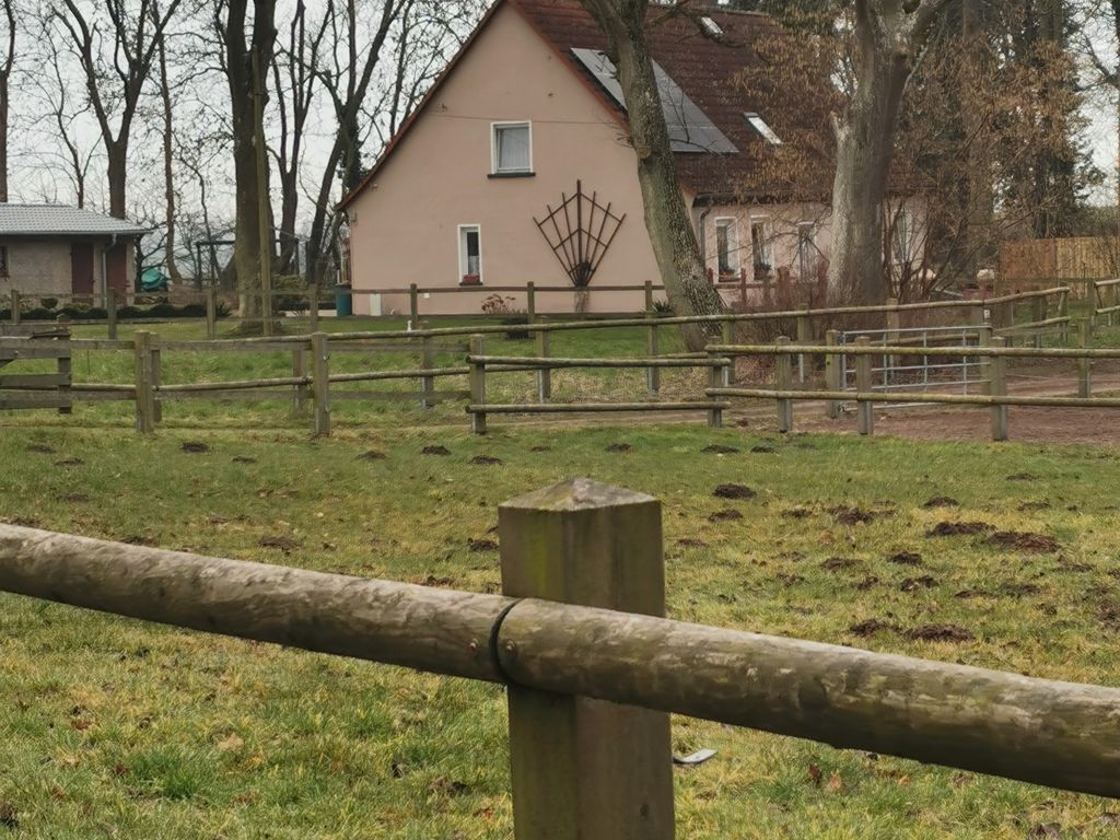 Ferienwohnung "Am Stadtrand" detail 1