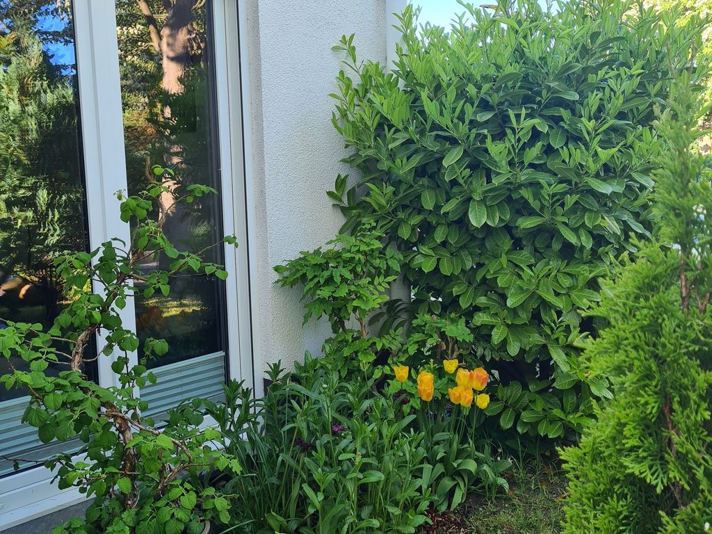 Haus Annelie FEWO 01 detail 4