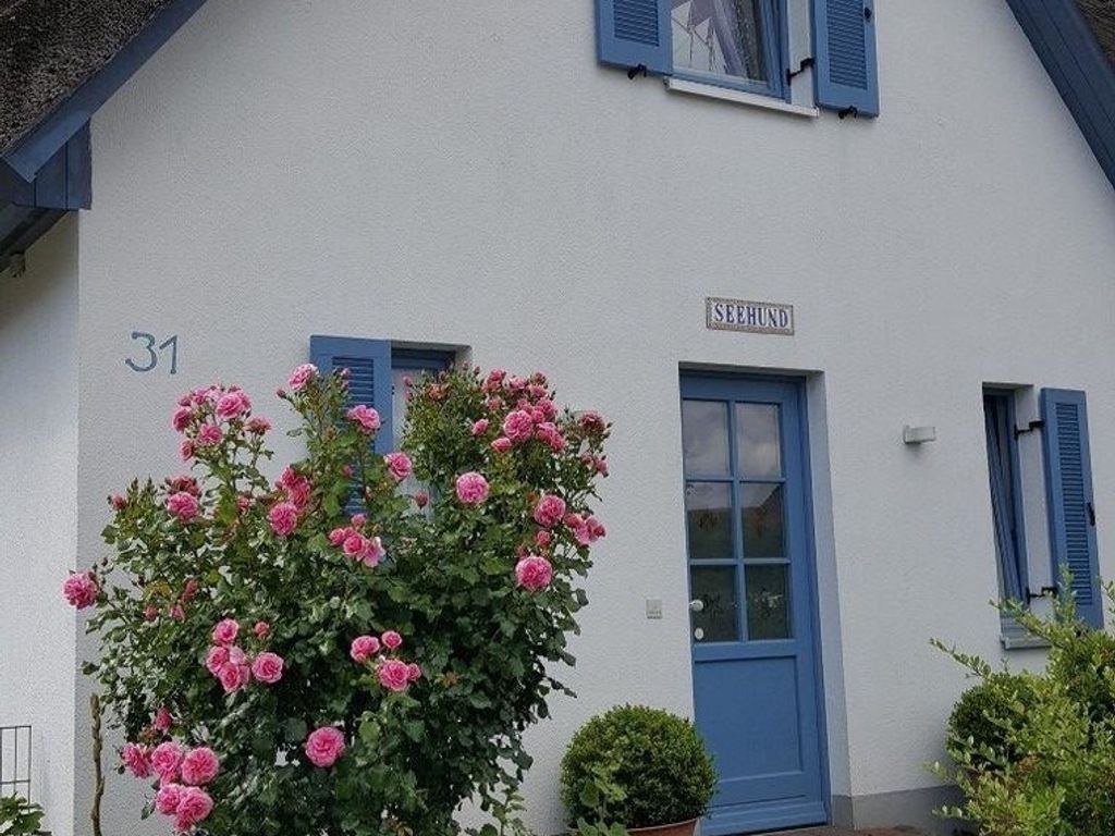Ferienhaus Seehund detail 4