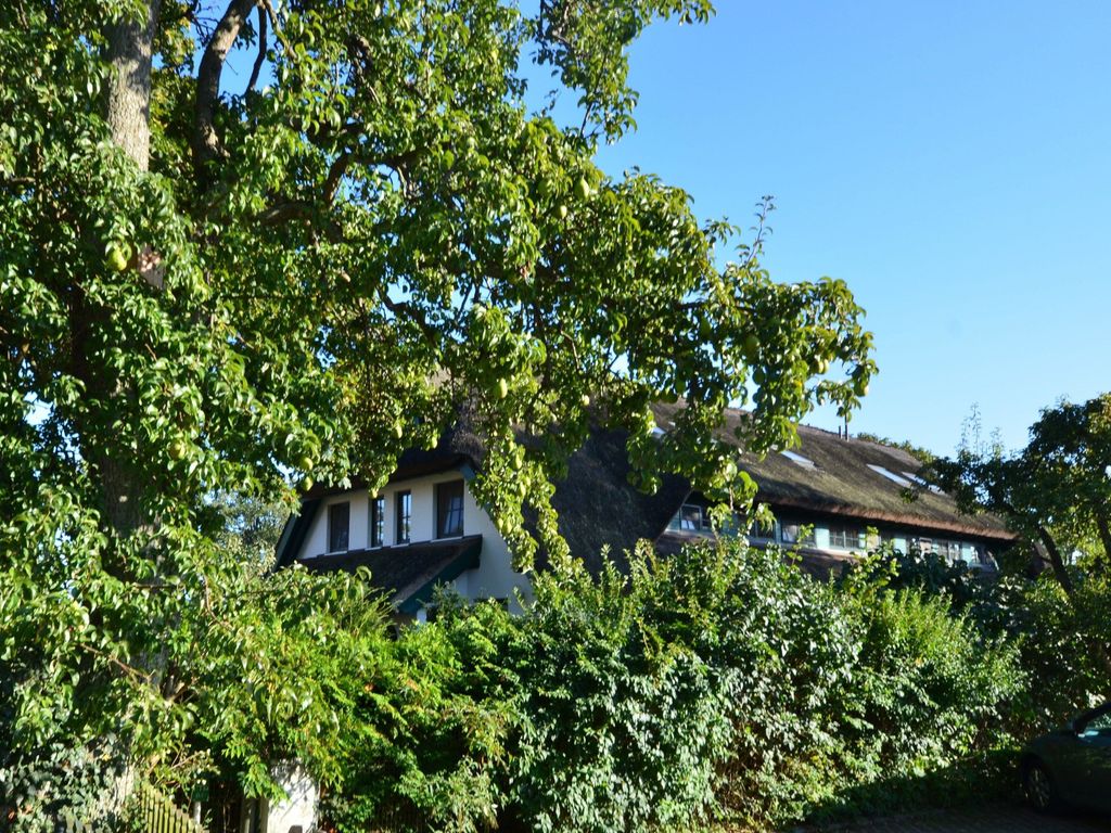 Großes Reethaus "Sanddorn" detail 3