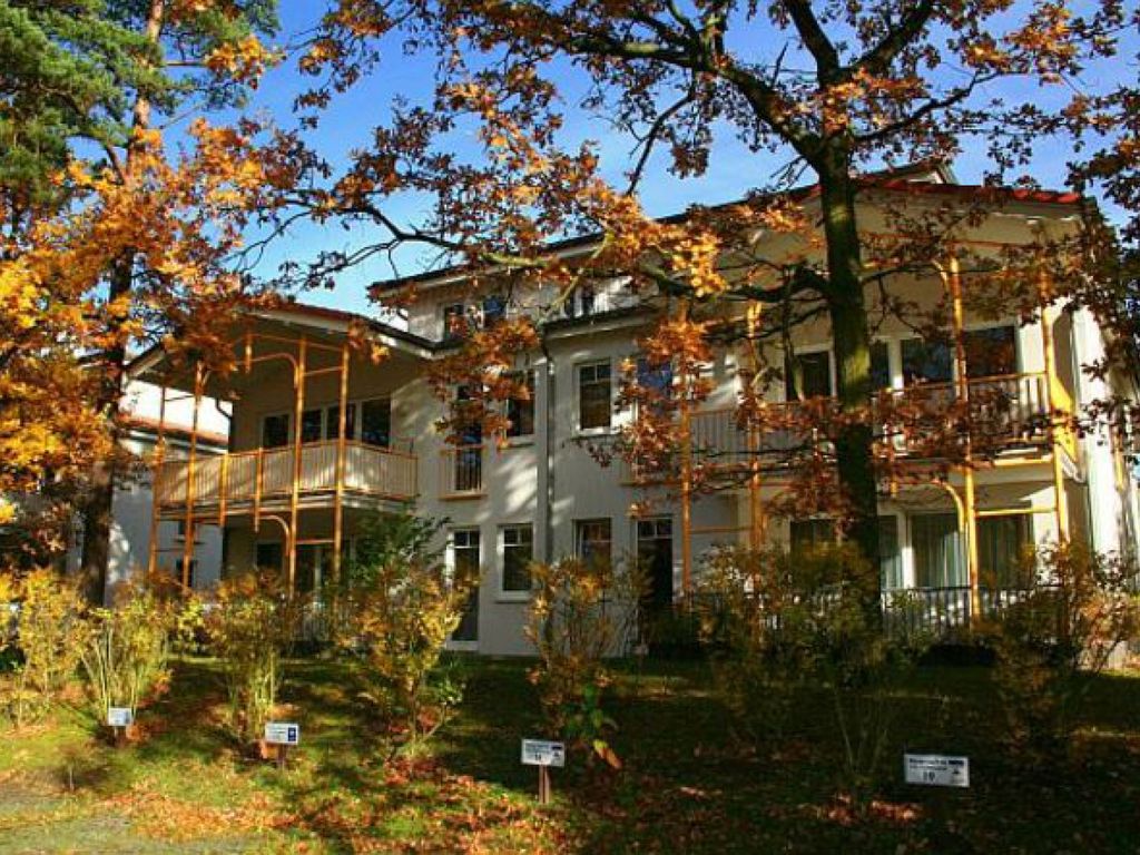 Störti's Nr. 9 detail 1