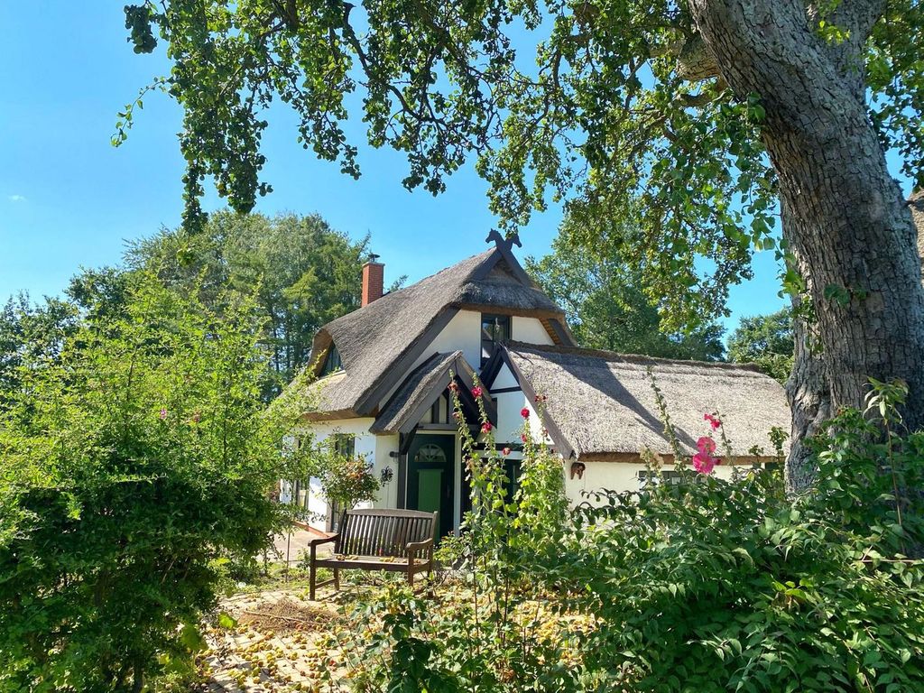 Groß Stresow - Irmi´s Kate - Ferienhaus und Doppelhaushälfte mit großem Garten detail 2